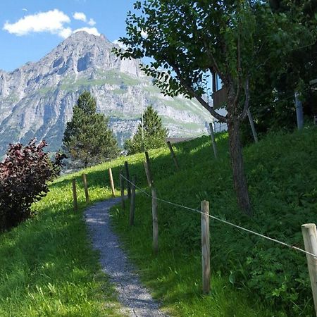 Chalet Waergistal Grindelwald Exteriér fotografie