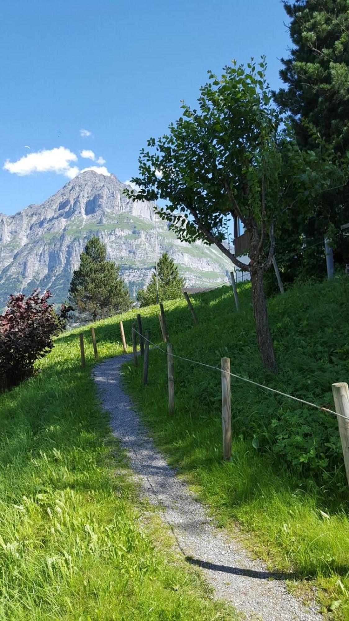 Chalet Waergistal Grindelwald Exteriér fotografie