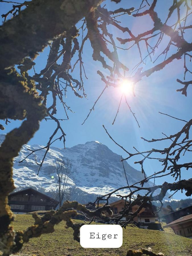 Chalet Waergistal Grindelwald Exteriér fotografie