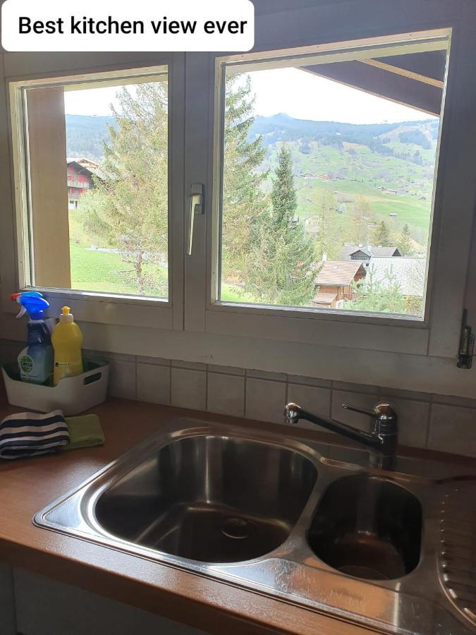 Chalet Waergistal Grindelwald Exteriér fotografie